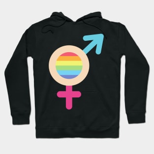 Gender Neutral LGBTQ Hoodie